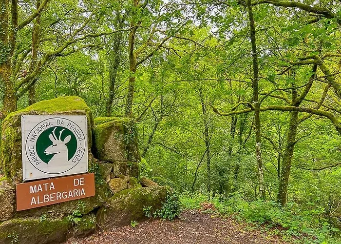 Hagah Alojamentos - Geres * 비에이라도미노